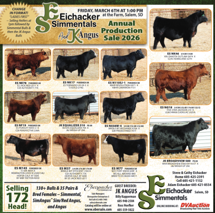 Sale Flyer